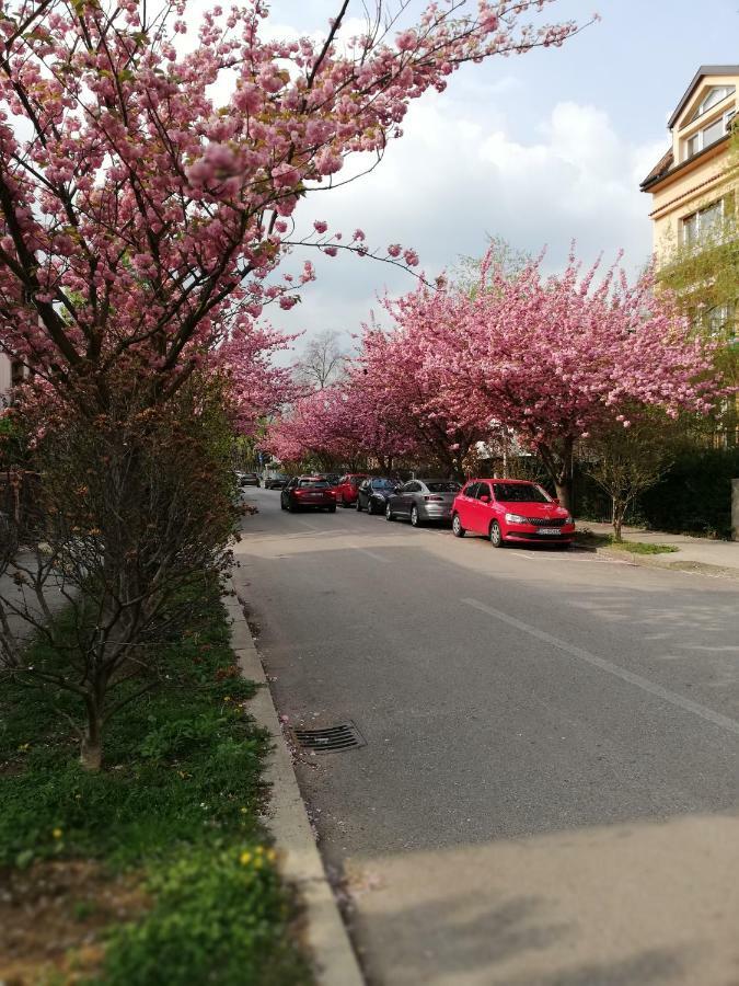 Irena'S Home Away From Home Zagreb Luaran gambar